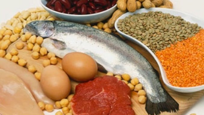 dieta de aporte proteico dieta de aporte proteico
